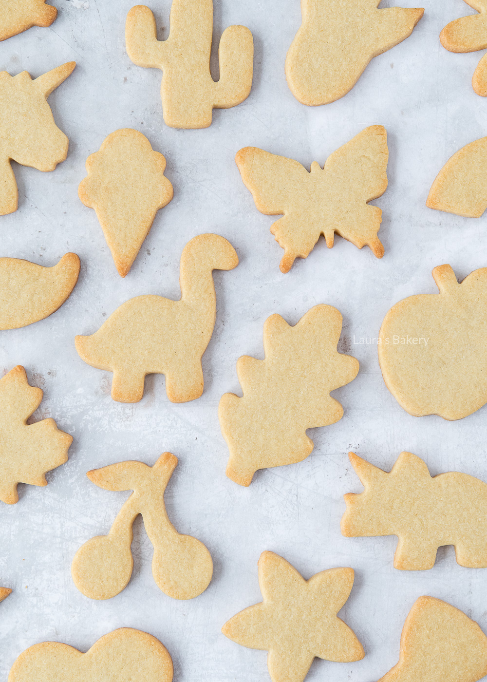 Cut out sugar cookies 2