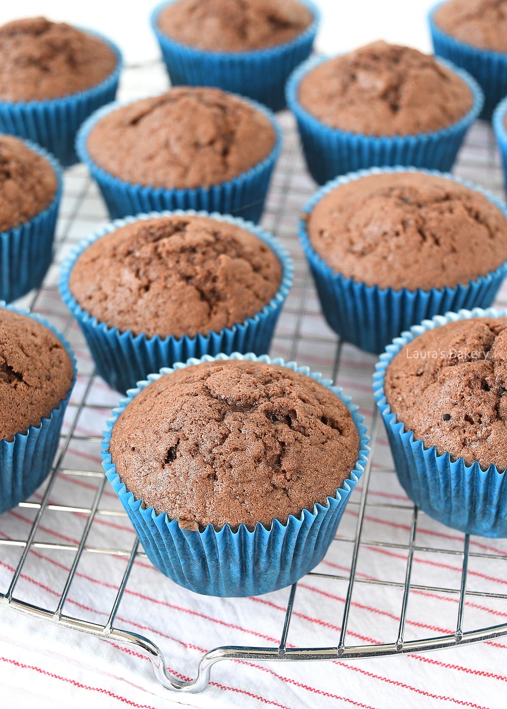Vanilla cupcakes no milk -1