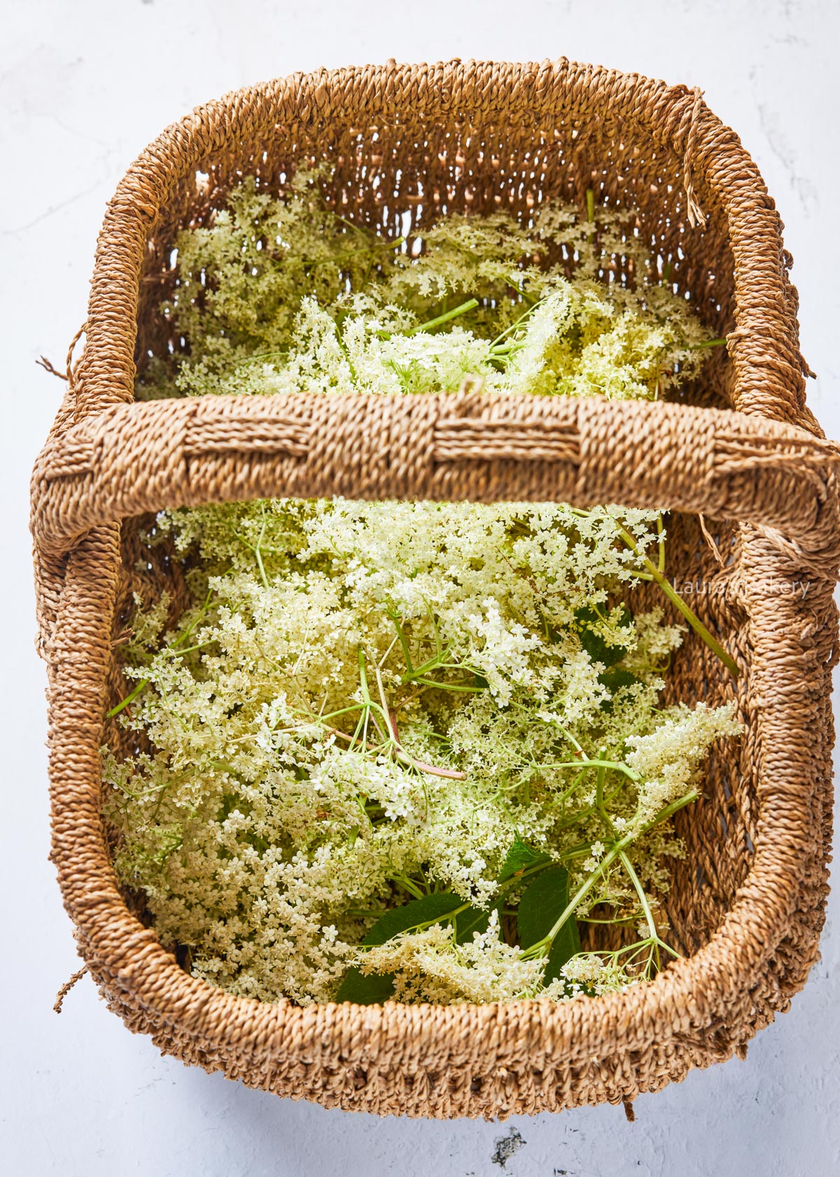 Basket with elderflower