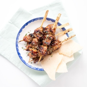 Marinated chicken skewers