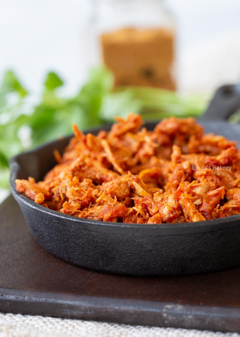 Mexican shredded chicken-2