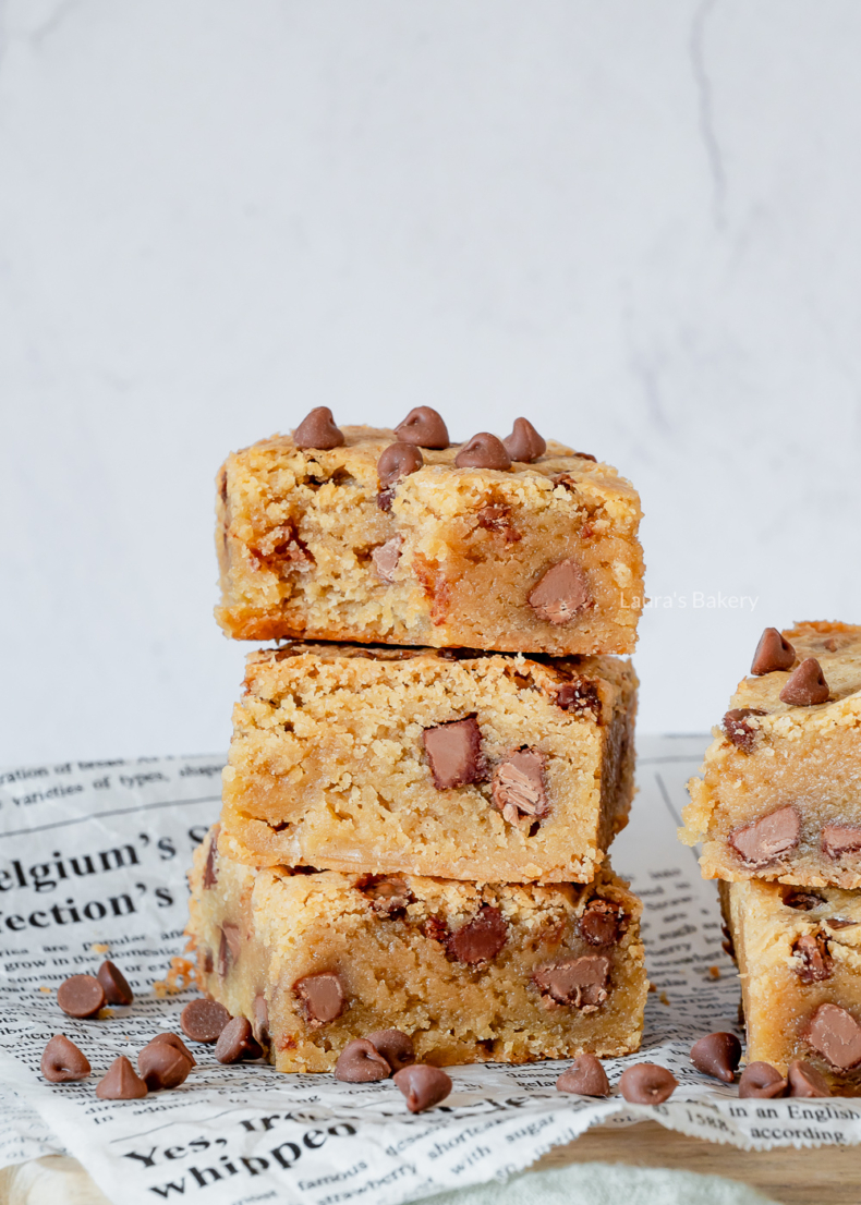 chocolate chip blondies WM-3