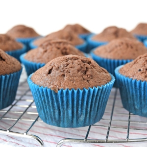 Chocolate cupcakes