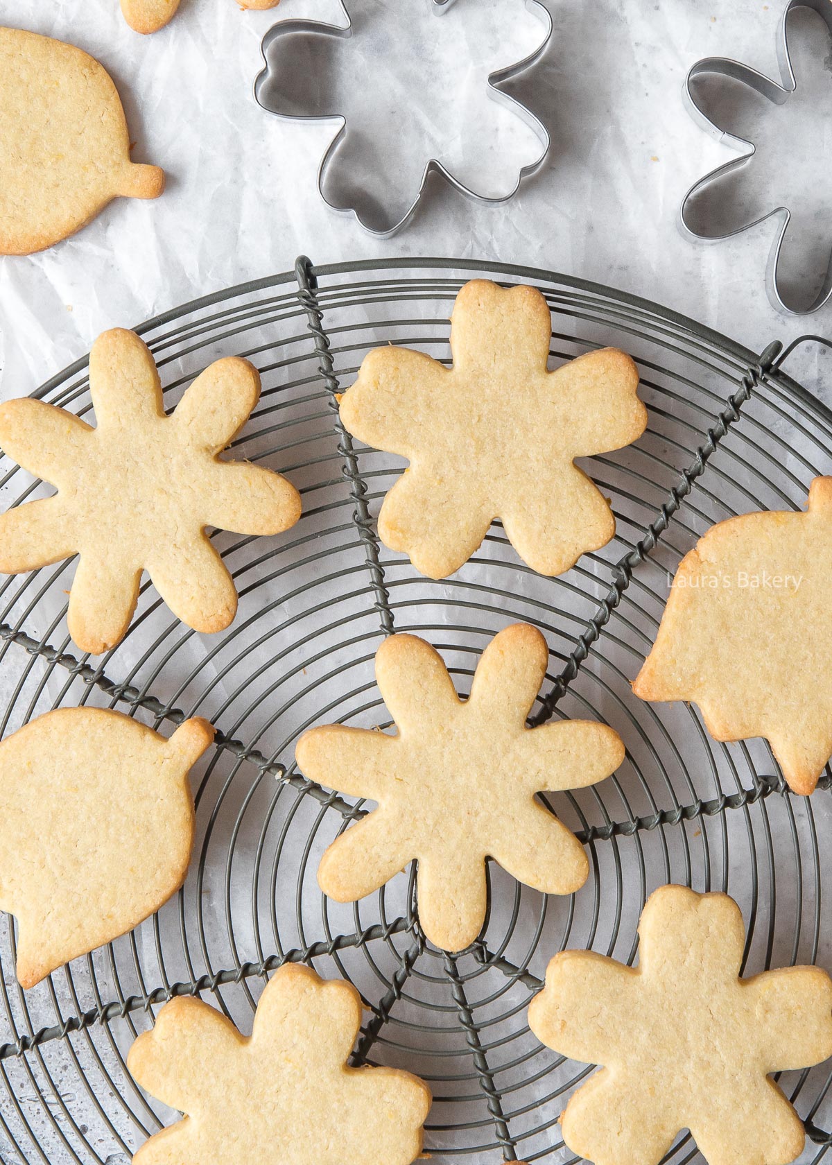 Lemon cut out sugar cookies-1