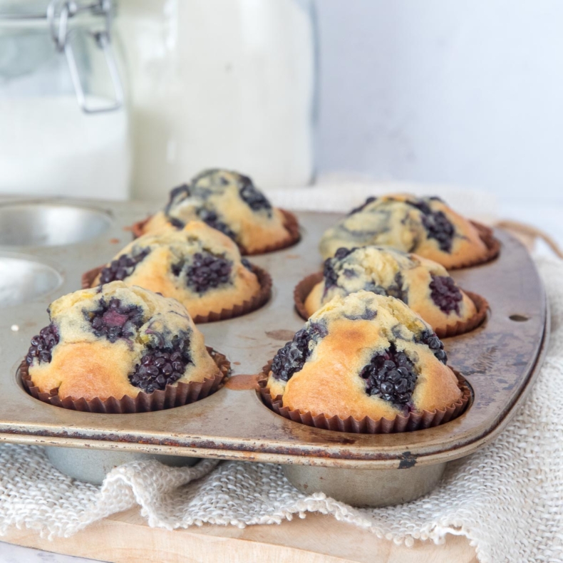 Lemon Blackberry Muffins