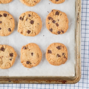 Walnut chocolate chip cookies