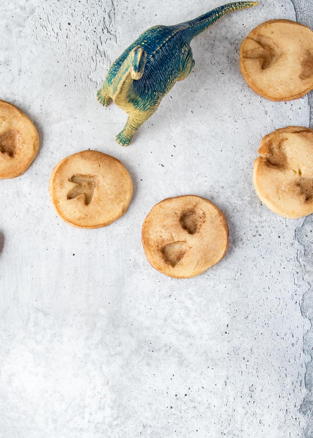 Dinosaur footprint cookies-1-2