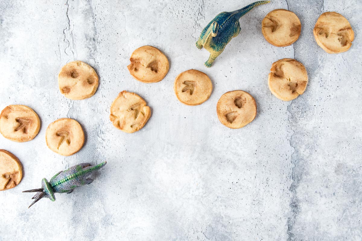 Dinosaur footprint cookies-1